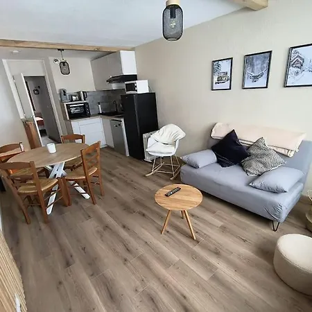 T2 Cosy Au Pied Des Pistes 公寓 *