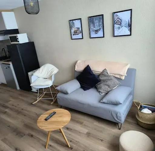 T2 Cosy Au Pied Des Pistes 巴涅尔德比戈尔