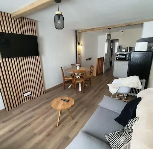 T2 Cosy Au Pied Des Pistes 巴涅尔德比戈尔