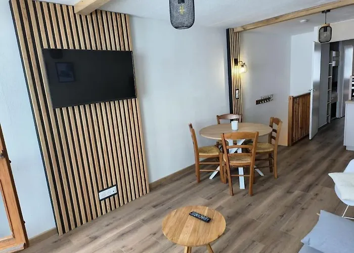 公寓 T2 Cosy Au Pied Des Pistes 巴涅尔德比戈尔