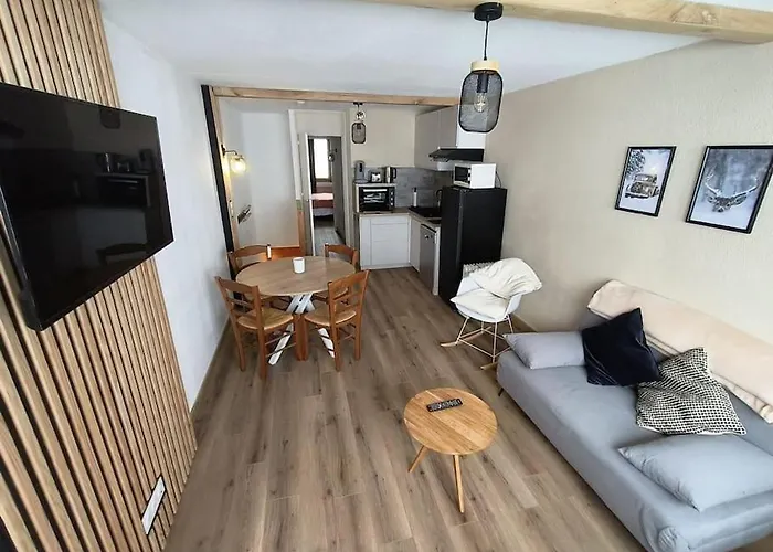 T2 Cosy Au Pied Des Pistes